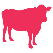 Carne Vacuna